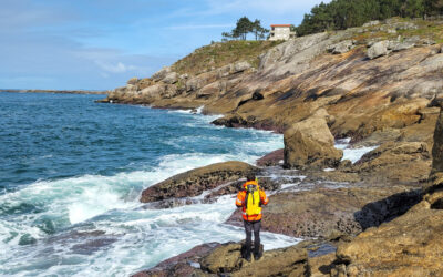 Mostraxes no intermareal