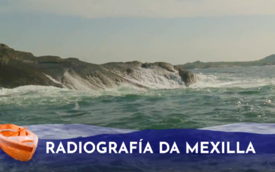 APROMEX protagonista en “Vivir o Mar”