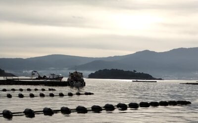 Traballos no Long-Line