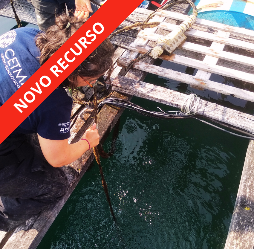 NOVO_RECURSO_BATEA_SENTINELA - low