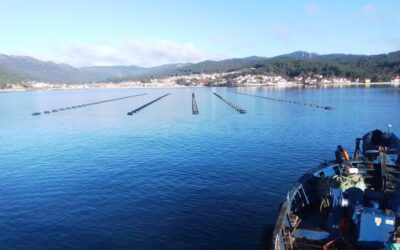 APROMEX presenta novas ferramentas para o seguimento do mexillón